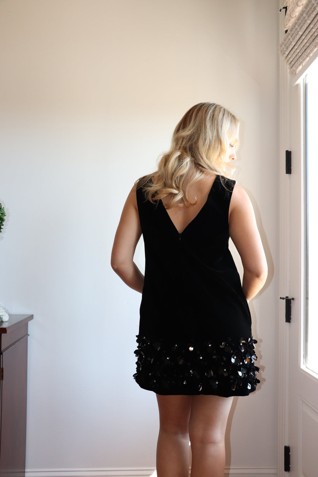 Elise Velvet Mini Dress