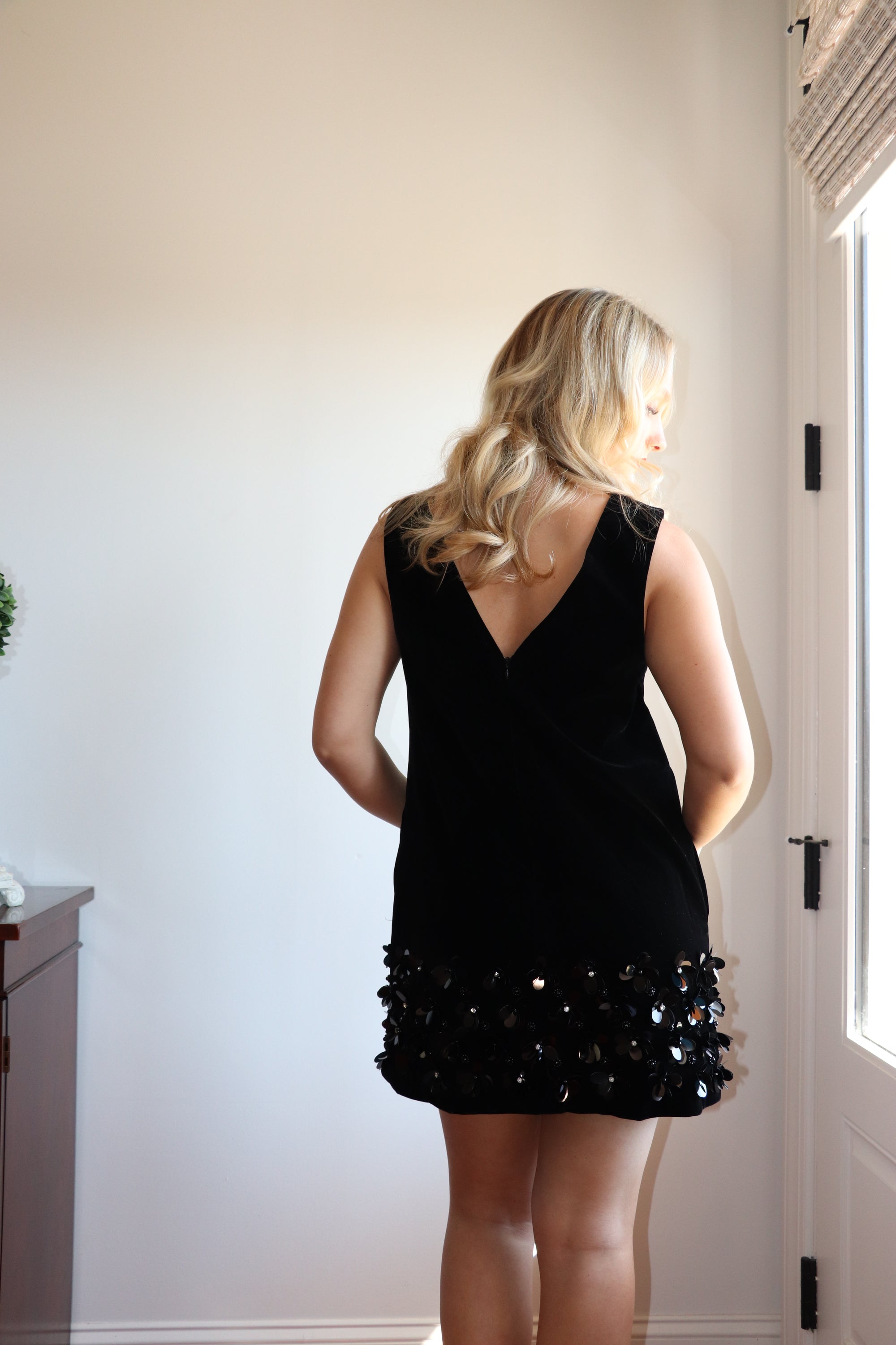 Elise Velvet Mini Dress