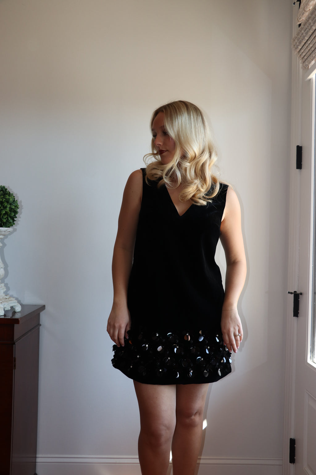 Elise Velvet Mini Dress