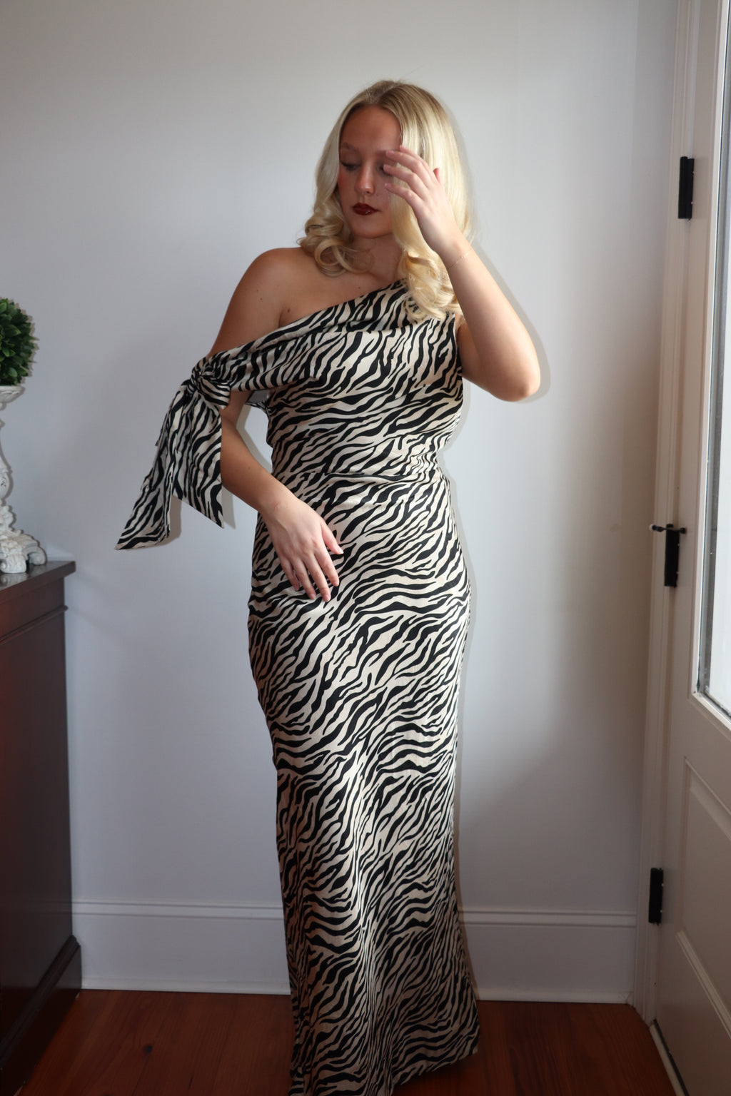 Remie Zebra Dress