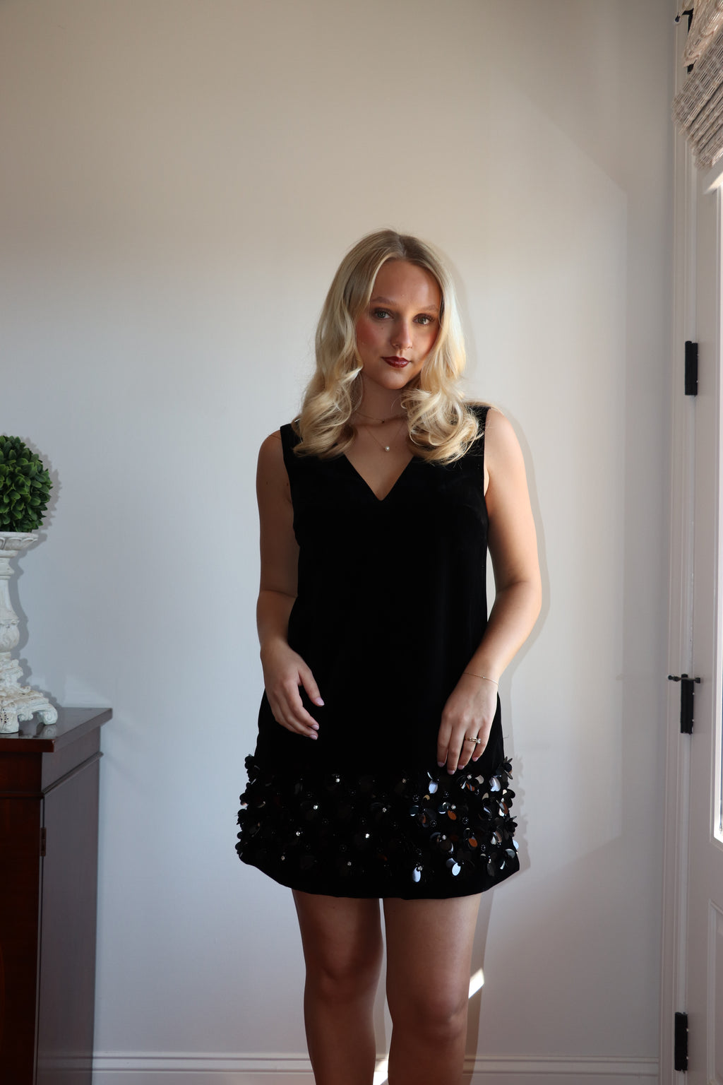 Elise Velvet Mini Dress